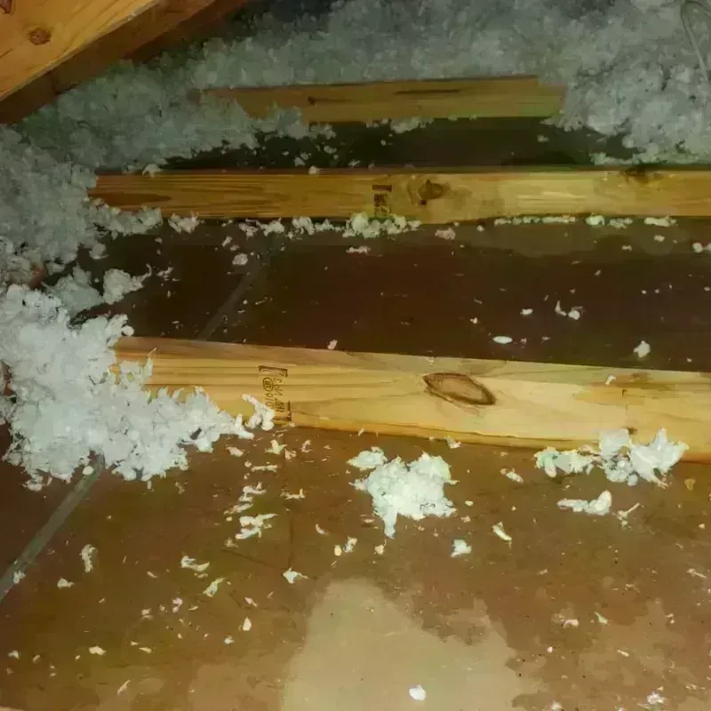 Attic Water Damage in Strafford County, NH